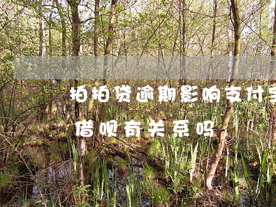拍拍贷逾期影响支付宝借呗吗(拍拍贷和蚂蚁借呗有关系吗)