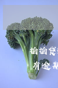 拍拍贷逾期怎么办没有偿还能力了-拍拍贷有逾期已经陆续在解决了,还会被起诉吗