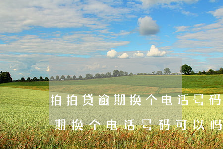 拍拍贷逾期换个电话号码可以吗-拍拍贷逾期换个电话号码可以吗安全吗