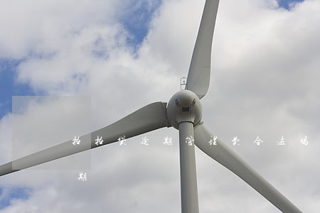 拍拍贷逾期管理费合法吗(拍拍贷合同严重超期)