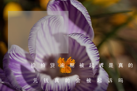 拍拍贷逾期被起诉是真的吗(拍拍贷逾期几百元钱真的会被起诉吗?)