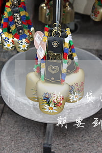 拍拍贷逾期要到本地派出所备案-拍拍贷逾期要到本地派出所备案吗
