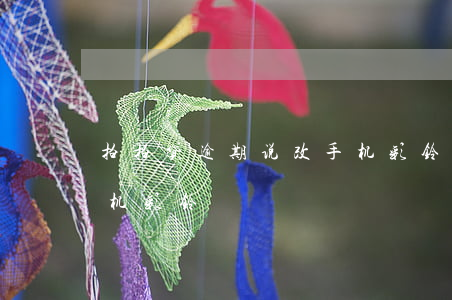 拍拍贷逾期说改手机彩铃(网贷逾期说会把手机彩铃)