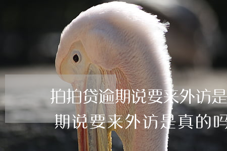 拍拍贷逾期说要来外访是真的吗-拍拍贷逾期说要来外访是真的吗吗