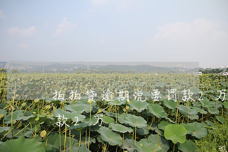 拍拍贷逾期说要罚款2万(拍拍贷逾期说要罚款2万)