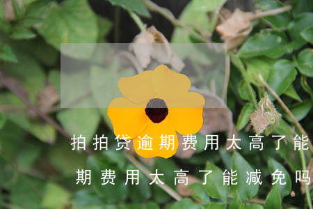 拍拍贷逾期费用太高了能减免吗-拍拍贷逾期费用太高了能减免吗是真的吗
