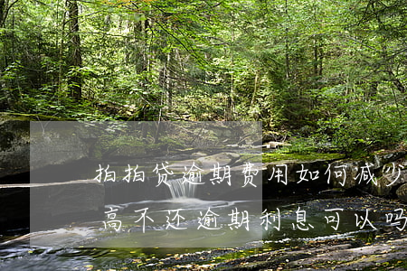 拍拍贷逾期费用如何减少(拍拍贷逾期费用太高,不还逾期利息可以吗)