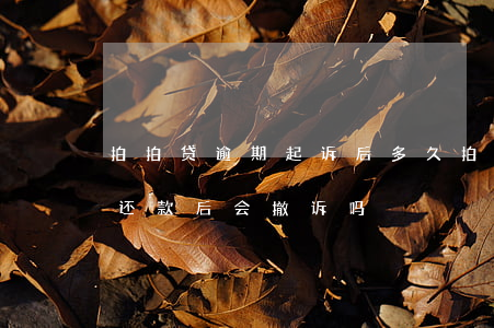 拍拍贷逾期起诉后多久(拍拍贷逾期法院起诉,还款后会撤诉吗)