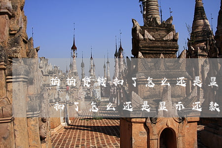 拍拍贷钱扣了怎么还是显示还款-拍拍贷钱扣了怎么还是显示还款金额