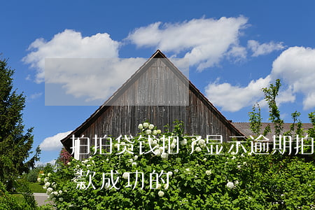 拍拍贷钱扣了显示逾期(拍拍贷扣款了但没还款成功的)