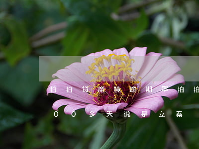 拍拍贷 魔镜 逾期率(拍拍贷逾期1000,有100多天,说是立案)