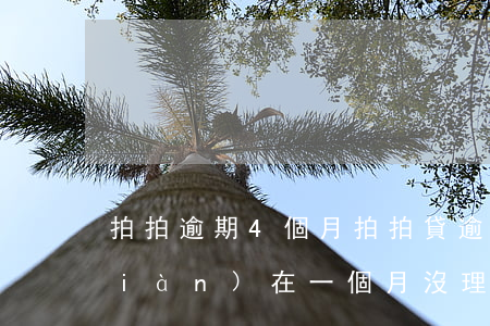 拍拍逾期4個月(拍拍貸逾期5個月了,現(xiàn)在一個月沒理我了)