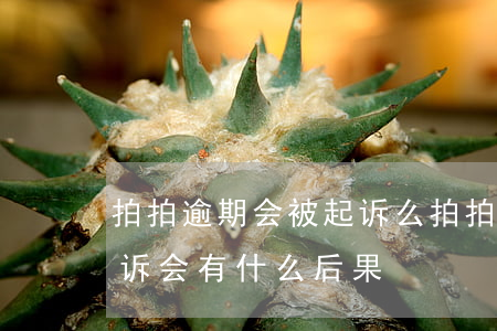 拍拍逾期会被起诉么(拍拍贷逾期多久会被起诉会有什么后果)