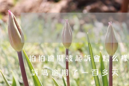 拍拍逾期被起訴會怎么樣(拍拍貸逾期會被起訴嗎逾期了一百多天)