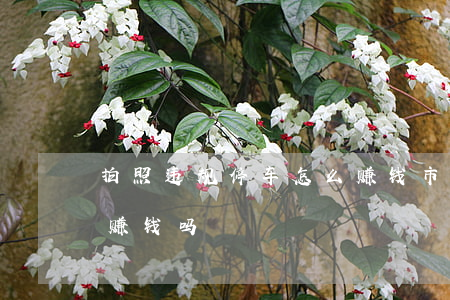 拍照违规停车怎么赚钱(市民拍违停车辆可以赚钱吗)