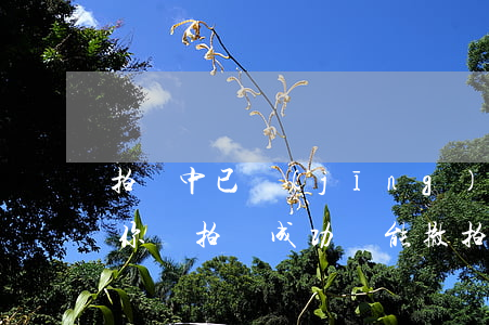 拍賣中已經(jīng)出價法院可以撤回你嗎(拍賣成功還能撤拍嗎)