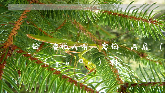 拍賣委托人有確定拍賣品底價(jià)的權(quán)利