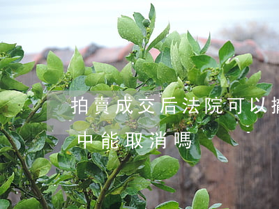 拍賣成交后法院可以撤銷拍賣嗎(已拍賣過程中能取消嗎)