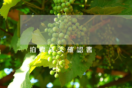 拍賣成交確認書