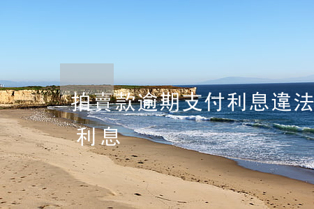 拍賣款逾期支付利息違法嗎（拍賣款逾期支付利息）