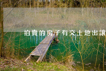 拍賣的房子有交土地出讓金嗎
