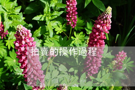 拍賣的操作過程