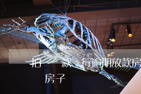 拍賣貸款銀行逾期放款(房貸逾期銀行強制拍賣房子)
