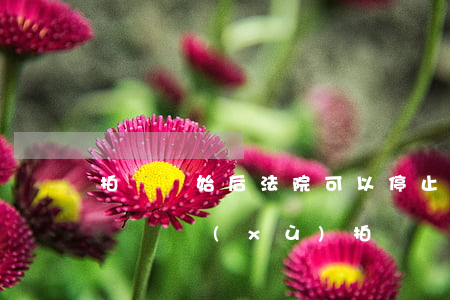 拍賣開始后法院可以停止嗎(司法拍賣中止后會繼續(xù)拍賣嗎)