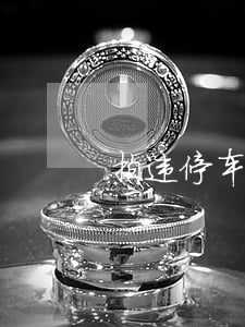 拍违停车辆能拿到钱吗(车被拍了怎么交罚款)