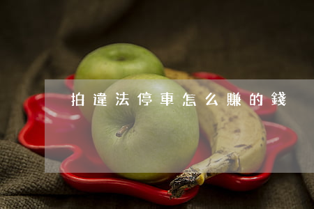 拍違法停車怎么賺的錢