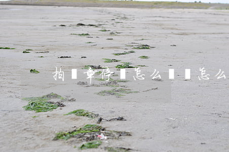 拍違章停車怎么賺錢(怎么拍違停車輛賺錢)