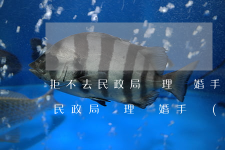 拒不去民政局辦理離婚手續(xù)(拒不去民政局辦理離婚手續(xù))