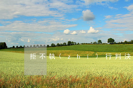 拒不執(zhí)行判決裁定罪由誰立案
