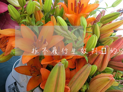 拒不履行生效判決的立案條件有哪些
