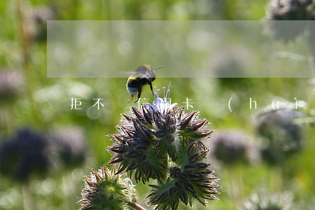 拒不還信用卡會(huì)被判刑嗎