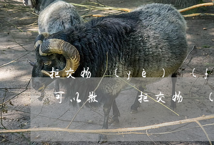 拒交物業(yè)費(fèi)被起訴法院可以撤訴嗎(拒交物業(yè)費(fèi)被起訴法院可以撤訴嗎)