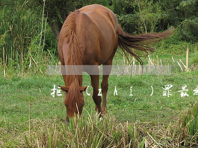 拒執(zhí)罪最新司法解釋