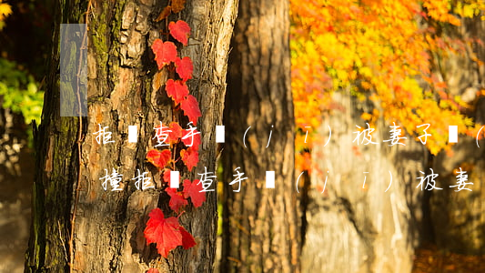 拒絕查手機(jī)被妻子開(kāi)車撞(拒絕查手機(jī)被妻子開(kāi)車撞)
