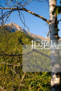 拒绝履行抗辩权是什么意思（逾期抗辩权）