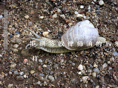 拒绝签收律师函的后果(拒绝收律师函会怎么样)