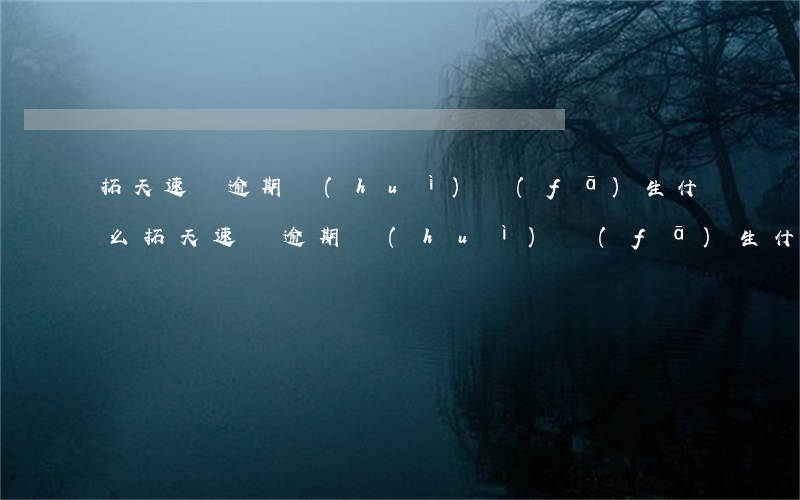 拓天速貸逾期會(huì)發(fā)生什么(拓天速貸逾期會(huì)發(fā)生什么情況)