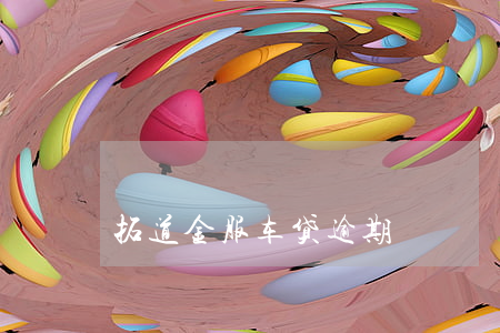 拓道金服车贷逾期