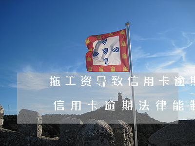 拖工资导致信用卡逾期(因老板拖欠工资导致信用卡逾期法律能制裁吗?)