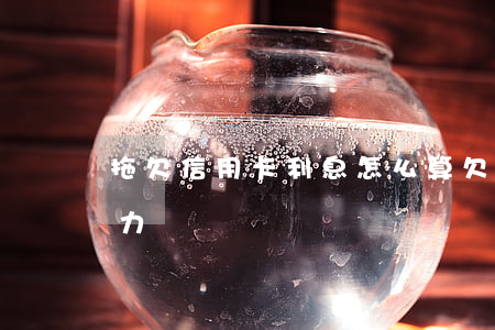 拖欠信用卡利息怎么算(欠信用卡利息太大無力償還)