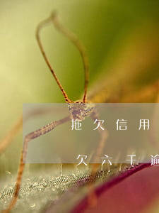 拖欠信用卡單卡6萬(wàn)逾期(信用卡欠六千逾期半年)