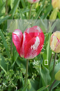 拖欠信用卡被起訴了怎么辦(欠銀行信用卡被起訴了怎么辦)