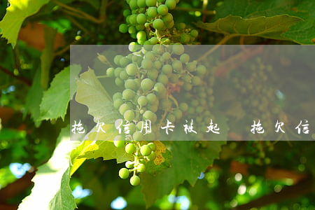 拖欠信用卡被起訴(拖欠信用卡被起訴)