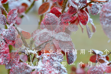拖欠兴业银行信用卡3个月会上门要吗（兴业信用卡逾期一个月会上门吗）