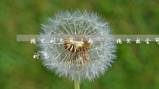 拖欠利息可以起訴嗎（拖欠租金可以起訴逾期利息）