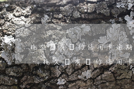 拖欠國有銀行信用卡逾期上報(bào)了-拖欠國有銀行信用卡2000元要承擔(dān)的責(zé)任